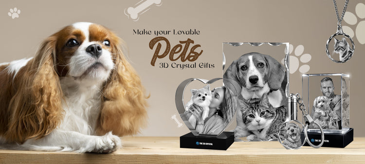 Pet Series