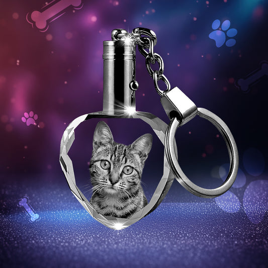 Heart Pet keychain