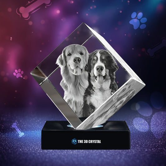 3D Crystal Pet Diamond Cube
