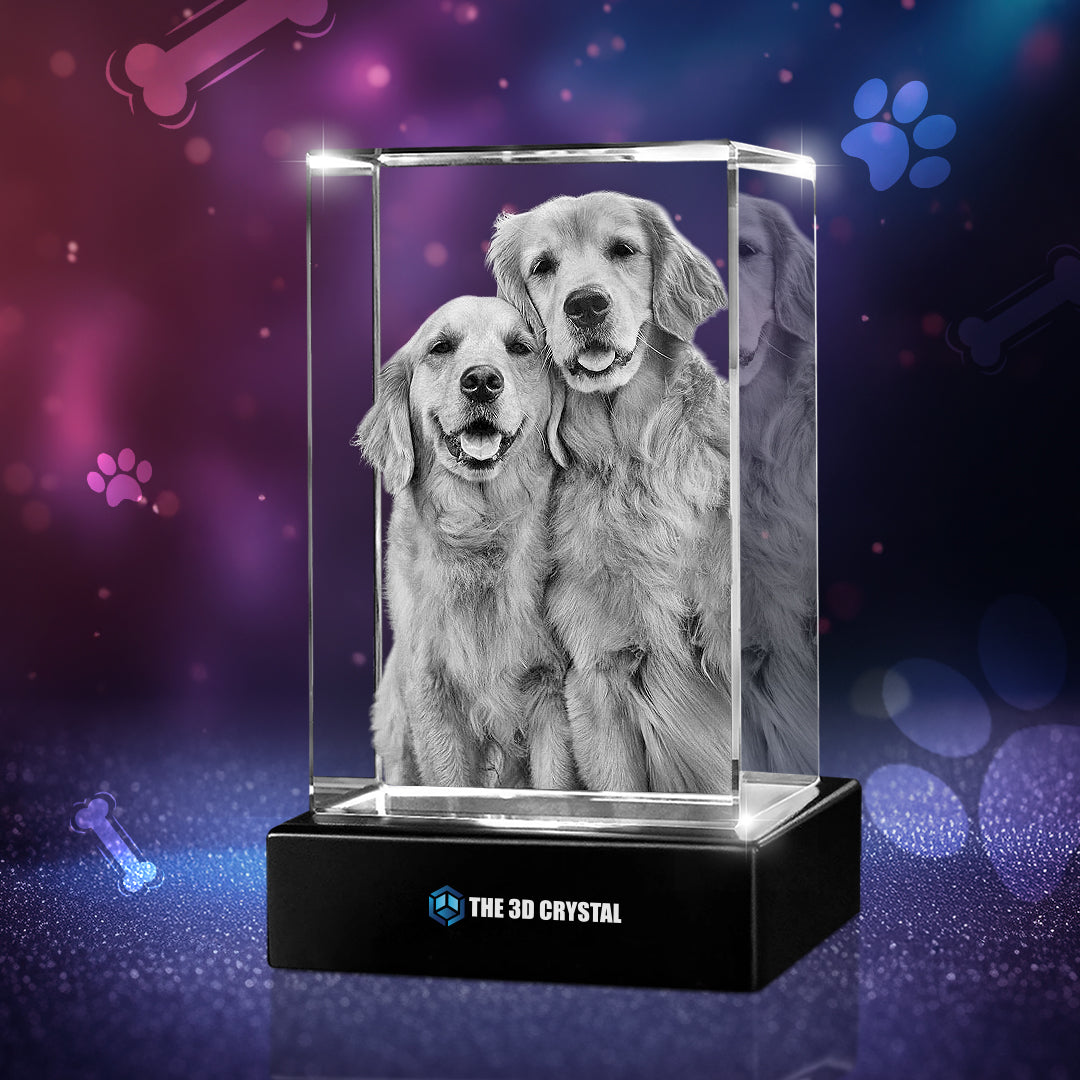 3D Crystal Pet Cube