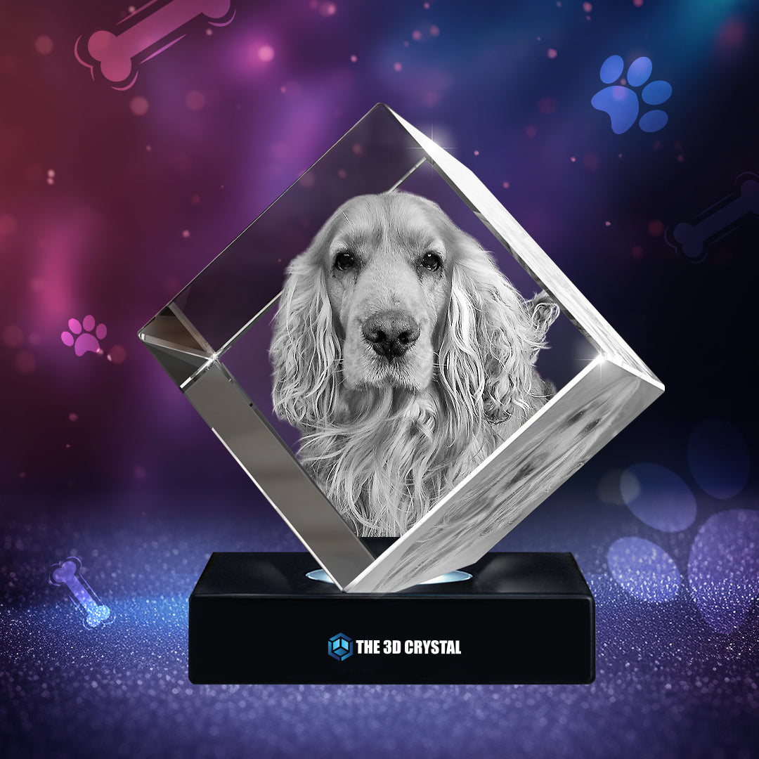 3D Crystal Pet Diamond Cube