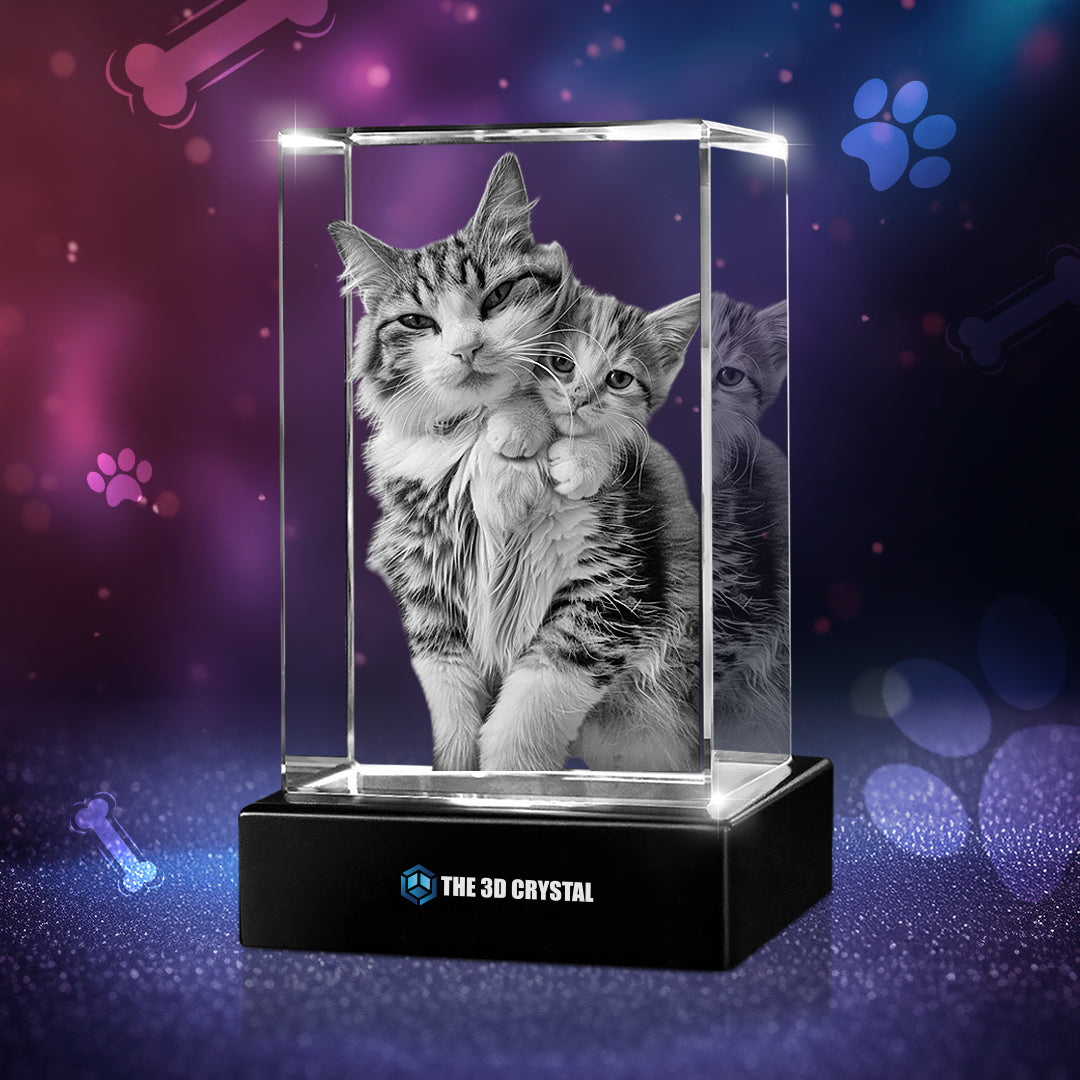 3D Crystal Pet Cube