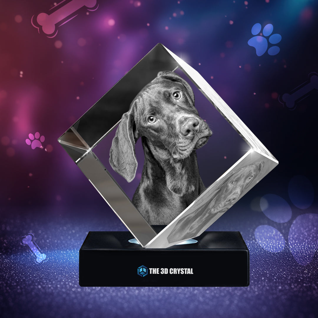 3D Crystal Pet Diamond Cube