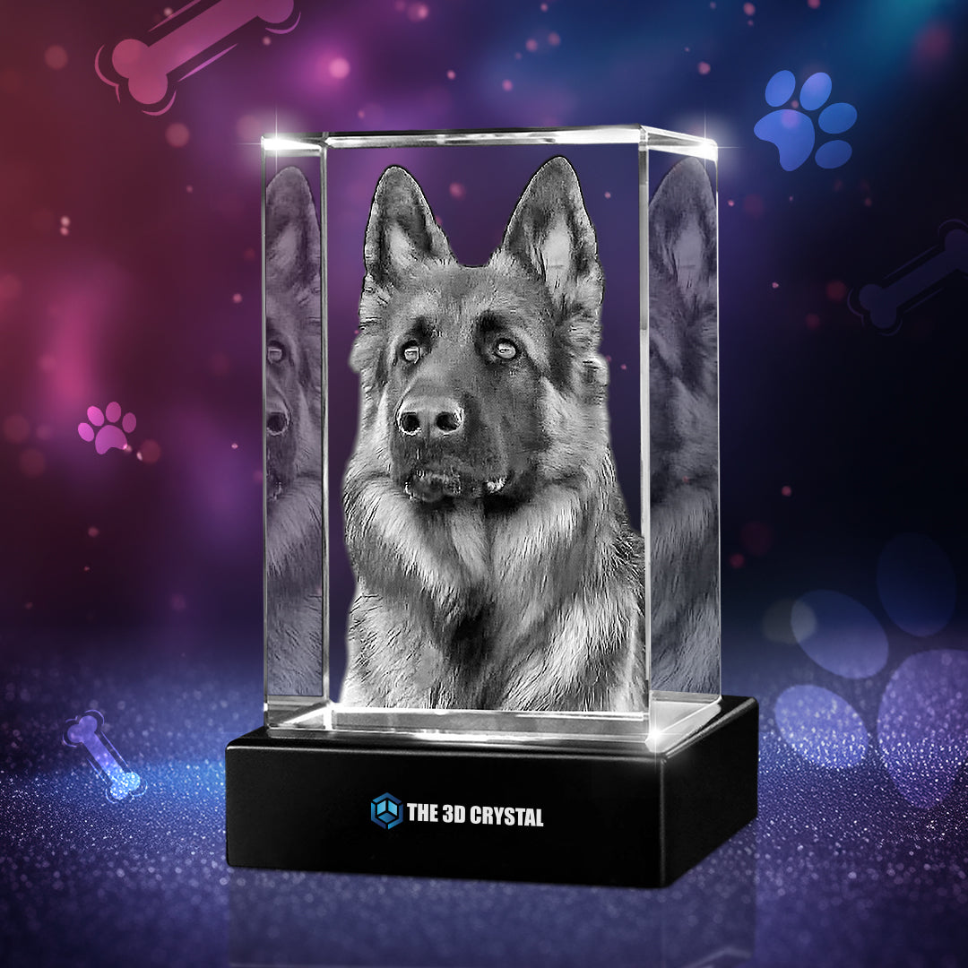 3D Crystal Pet Cube