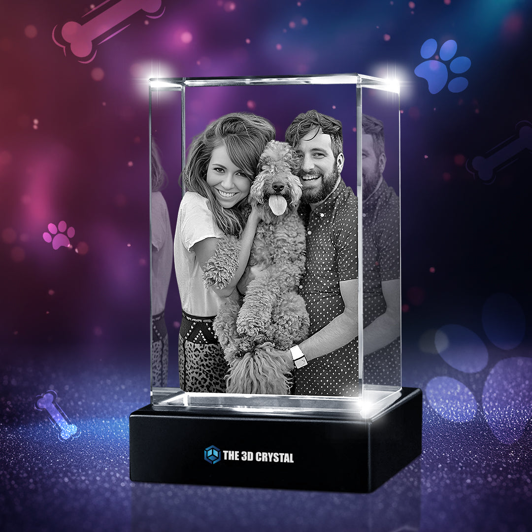 3D Crystal Pet Cube