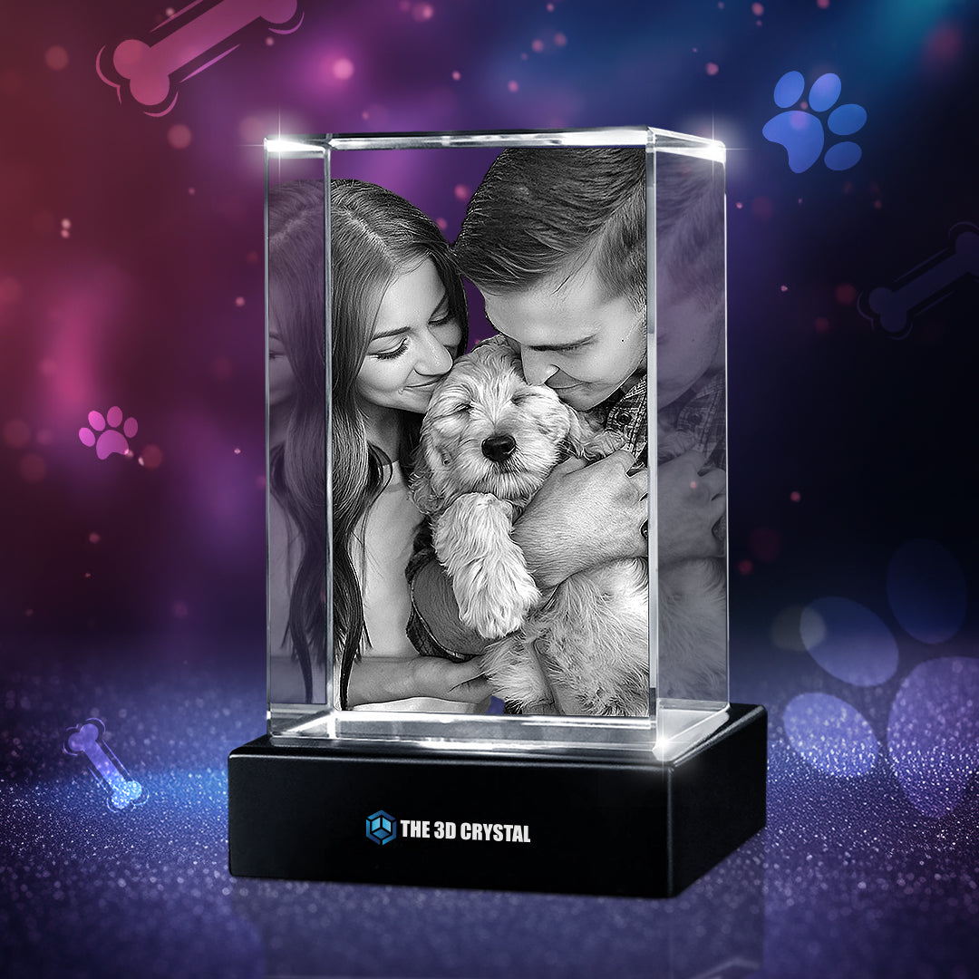 3D Crystal Pet Cube