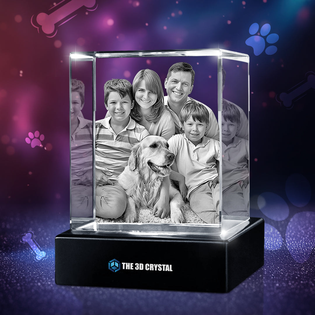 3D Crystal Pet Cube